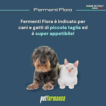 Petformance